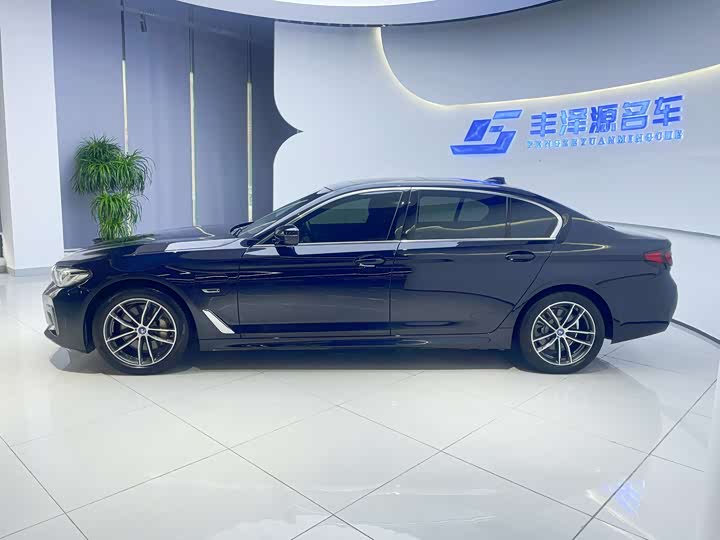 Фото 3 - BMW 5 Series Hybrid