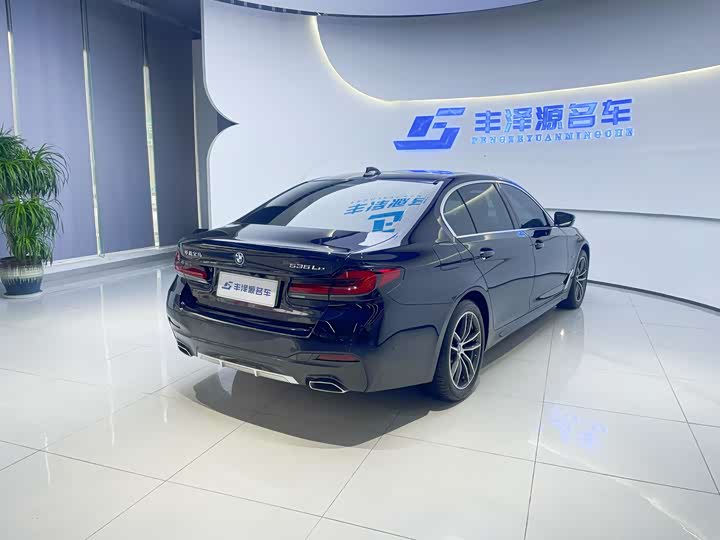 Фото 5 - BMW 5 Series Hybrid