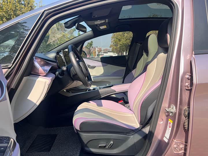 Фото 4 - BYD Dolphin