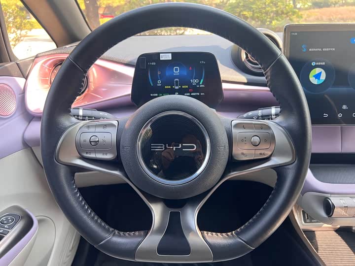 Фото 7 - BYD Dolphin