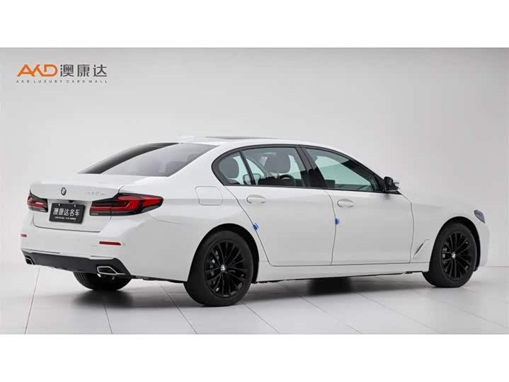 Фото 3 - BMW 5 Series Hybrid