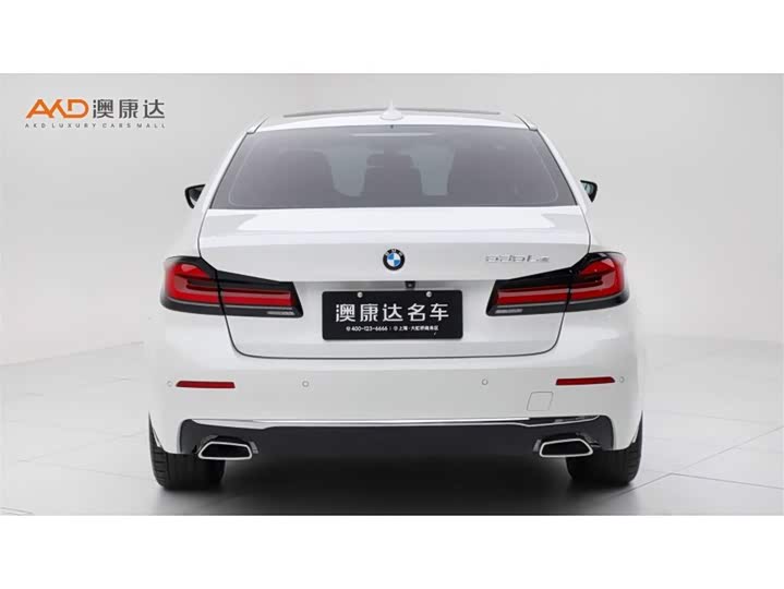 Фото 4 - BMW 5 Series Hybrid