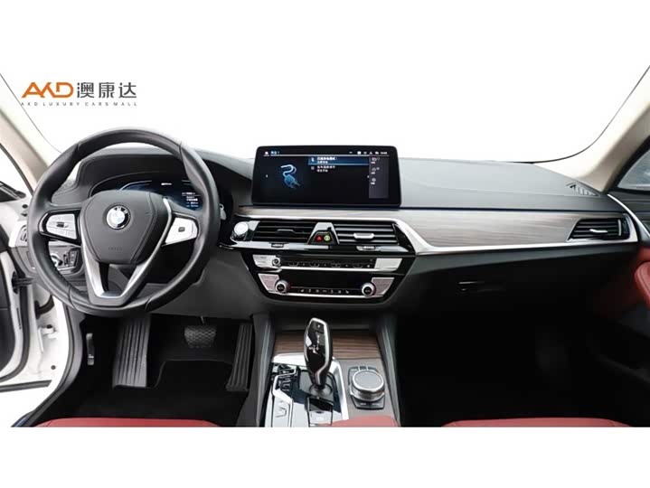 Фото 5 - BMW 5 Series Hybrid