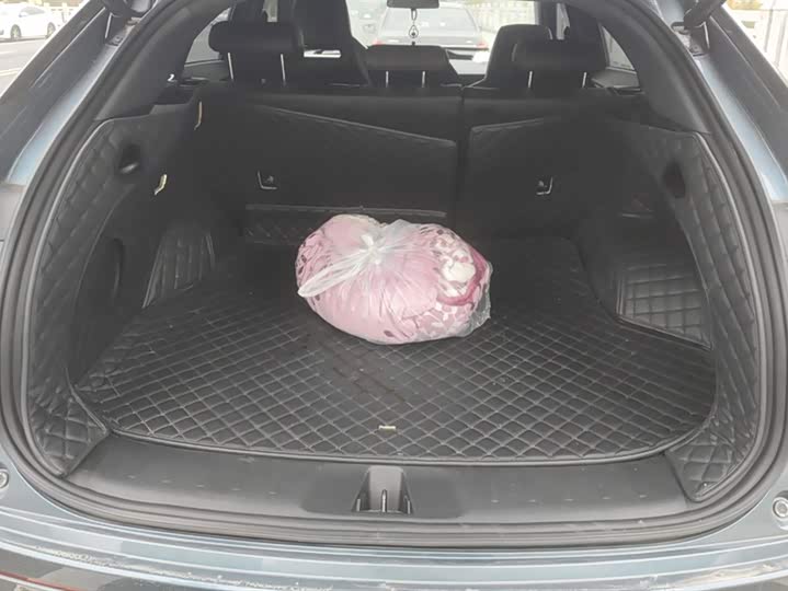 Фото 4 - Changan Oshan Z6 Hybrid