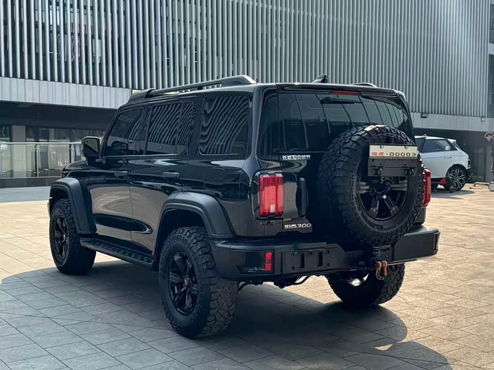 Фото 5 - Tank 300