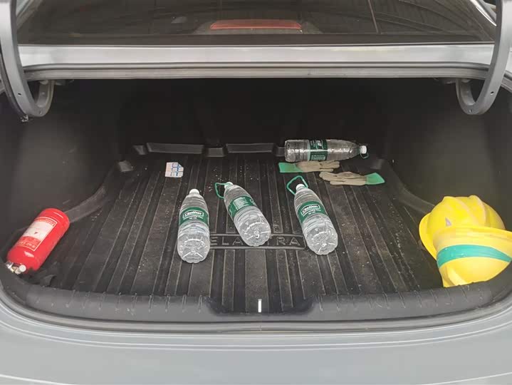 Фото 4 - Hyundai Elantra N line