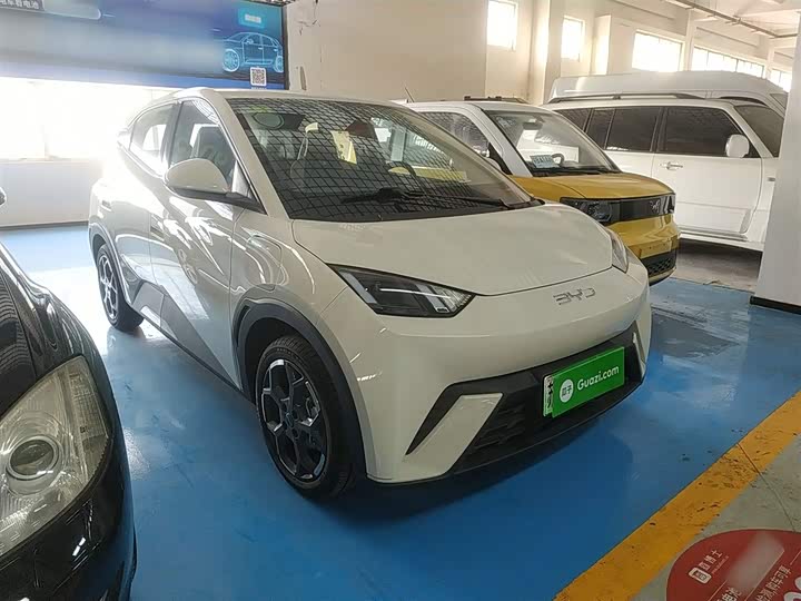 Фото 4 - BYD Seagull