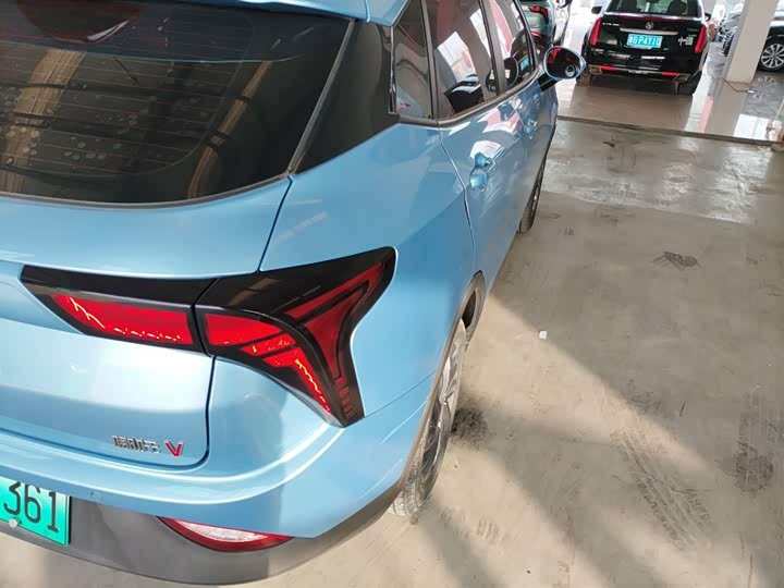 Фото 8 - Hozon V