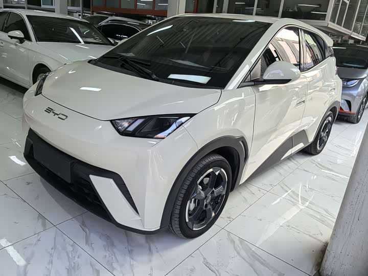 Фото 1 - BYD Seagull