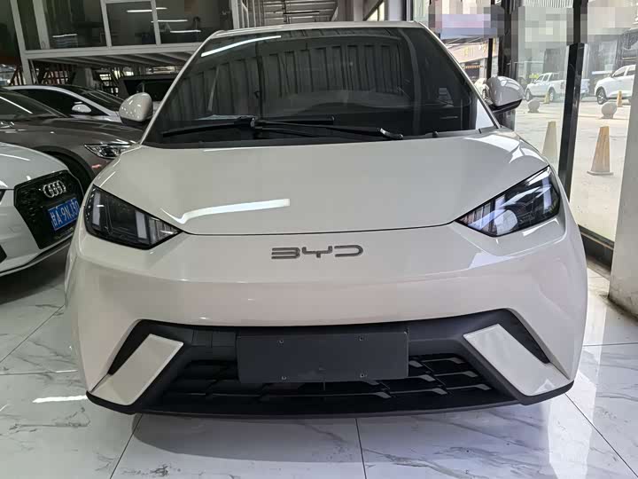 Фото 2 - BYD Seagull