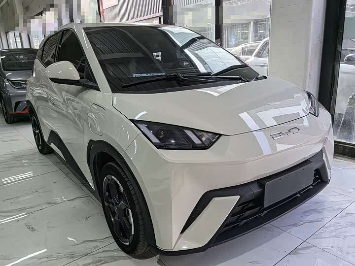 Фото 3 - BYD Seagull