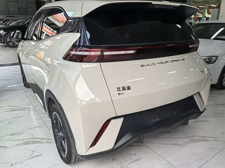 Фото 4 - BYD Seagull