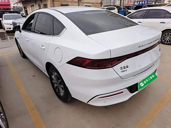 Фото 5 - BYD Qin Plus