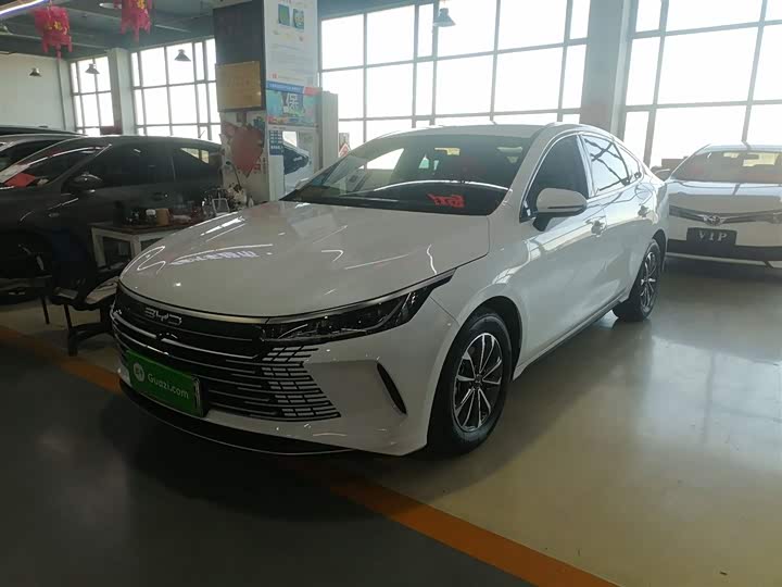 Фото 2 - BYD Destroyer 05