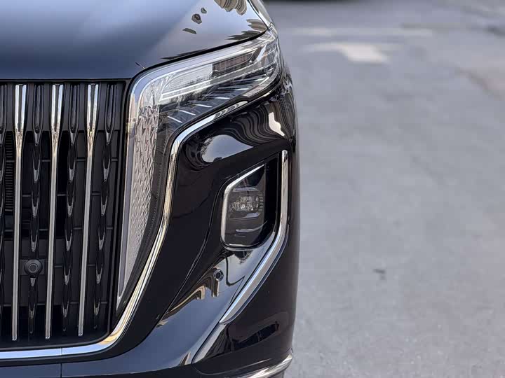 Фото 2 - Hongqi HQ9