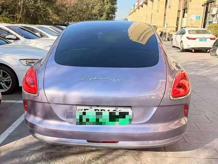 Фото 2 - Ora Lightning Cat (07)