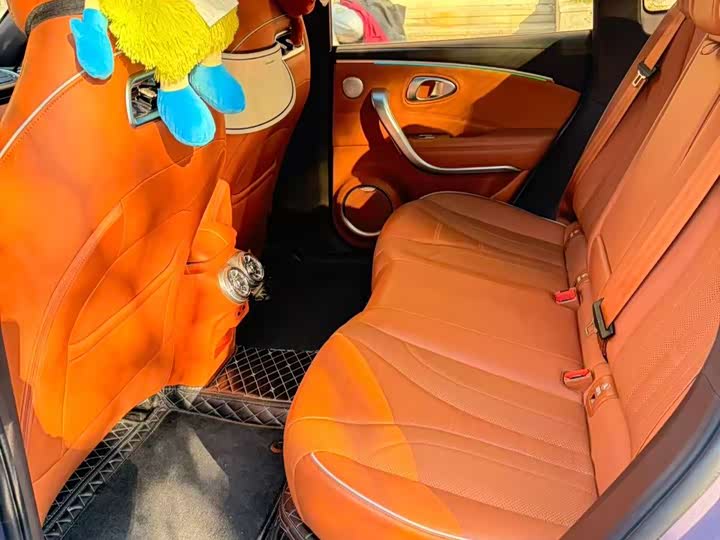 Фото 4 - Ora Lightning Cat (07)