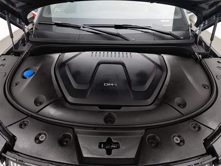 Фото 6 - BYD Frigate 07