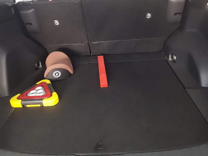 Фото 4 - Toyota Wildlander