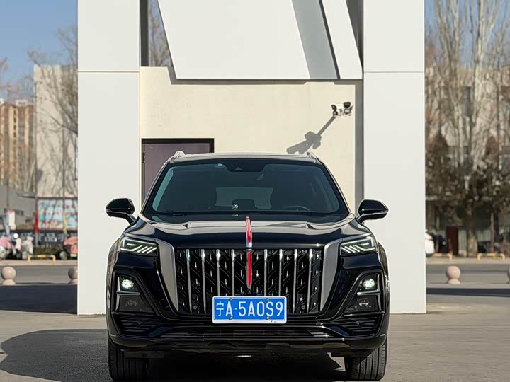 Фото 2 - Hongqi HS5