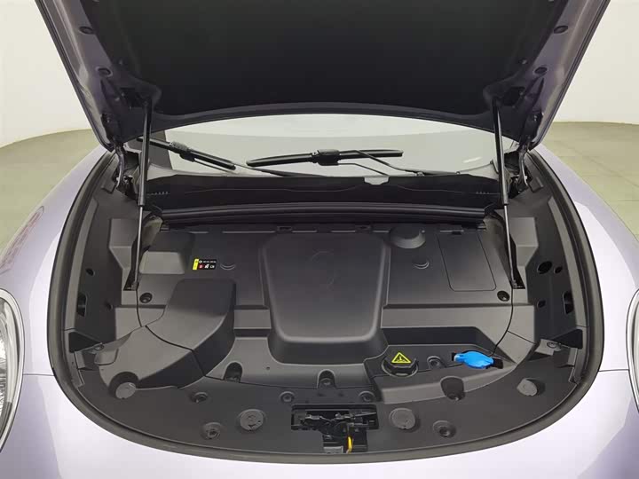 Фото 6 - Ora Lightning Cat (07)