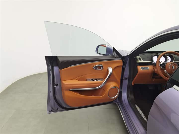 Фото 8 - Ora Lightning Cat (07)