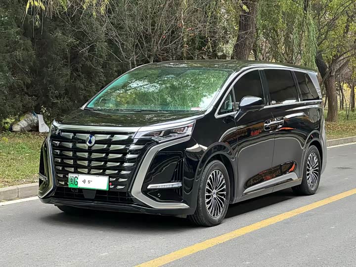 Фото 1 - Denza D9