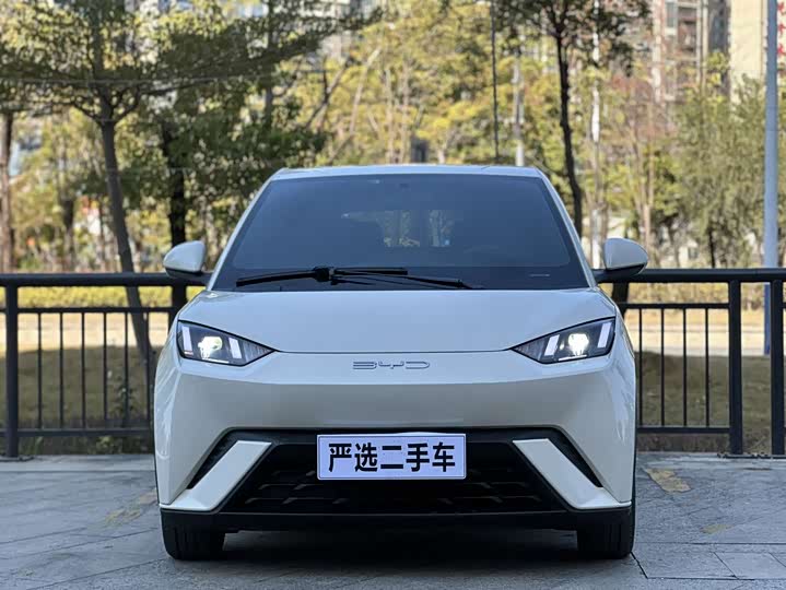 Фото 2 - BYD Seagull