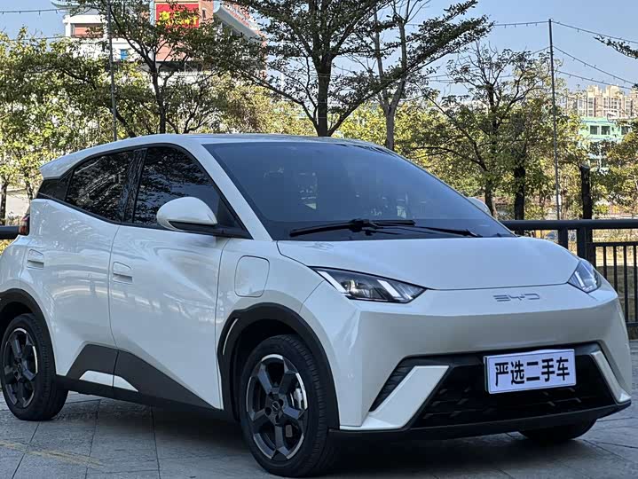 Фото 3 - BYD Seagull