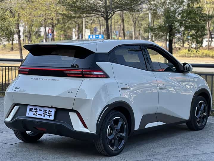 Фото 7 - BYD Seagull