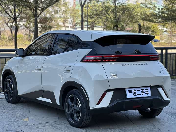 Фото 9 - BYD Seagull