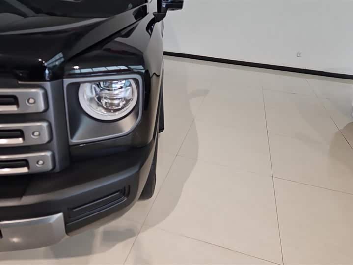 Фото 5 - Haval Raptor Hybrid