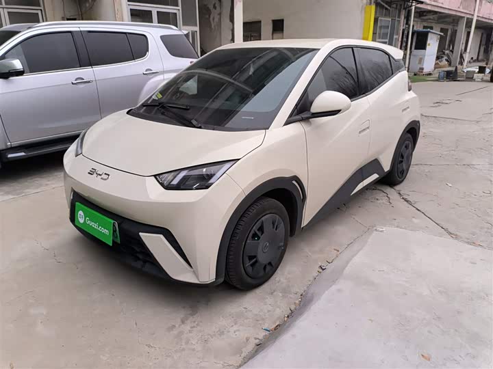 Фото 1 - BYD Seagull