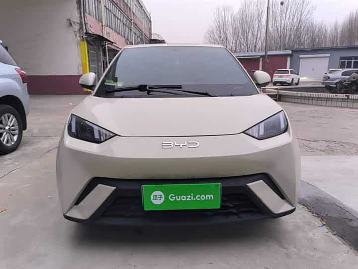 Фото 3 - BYD Seagull