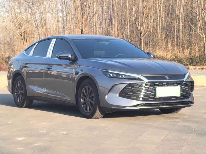 Фото 3 - BYD Qin L