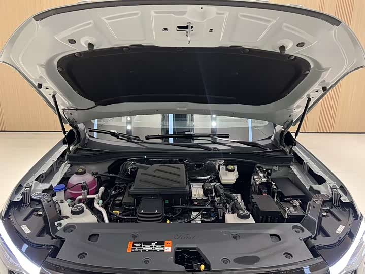 Фото 8 - Ford Equator Hybrid