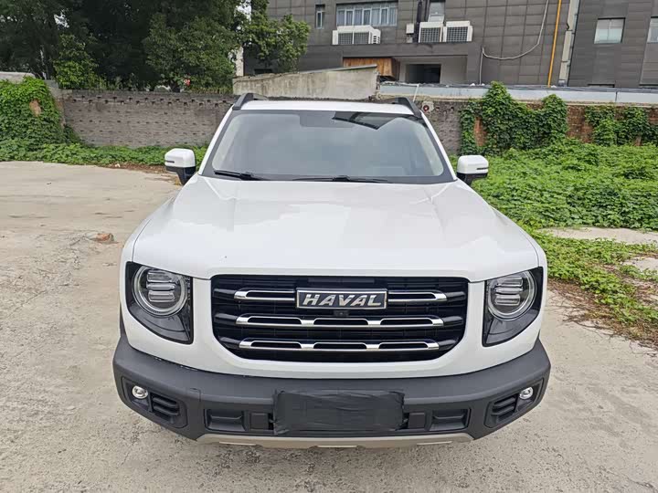 Фото 2 - Haval Dargo