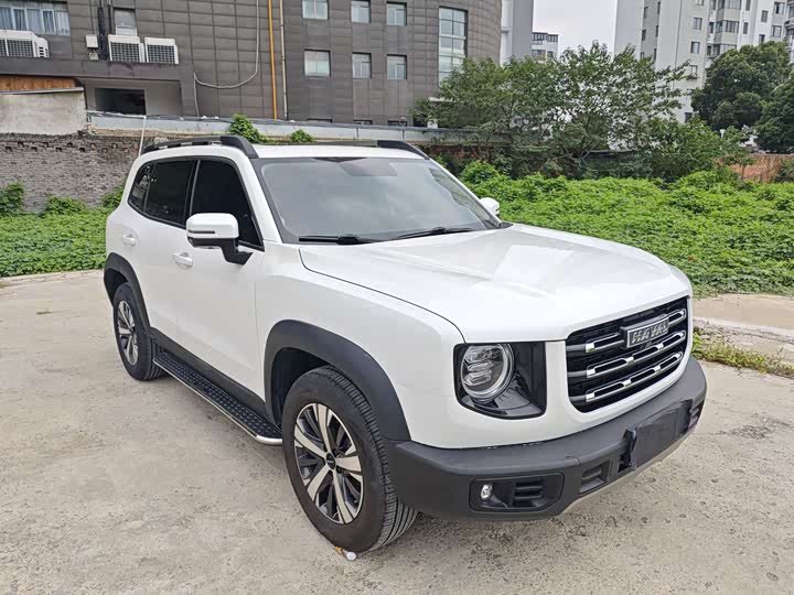 Фото 3 - Haval Dargo