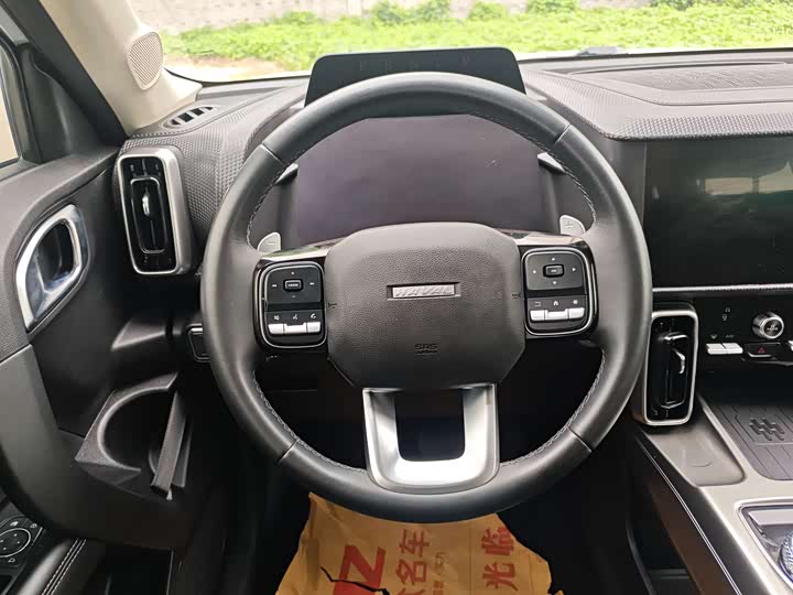 Фото 6 - Haval Dargo