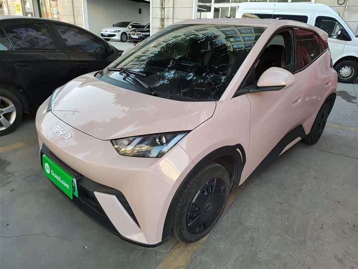 Фото 1 - BYD Seagull