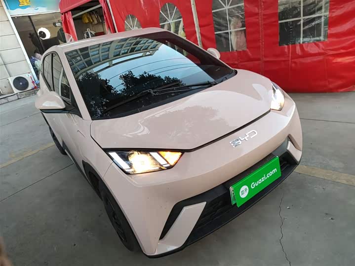 Фото 4 - BYD Seagull