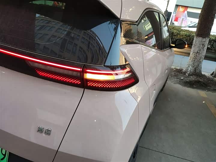 Фото 8 - BYD Seagull