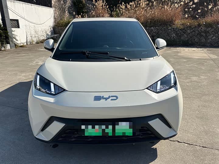 Фото 2 - BYD Seagull