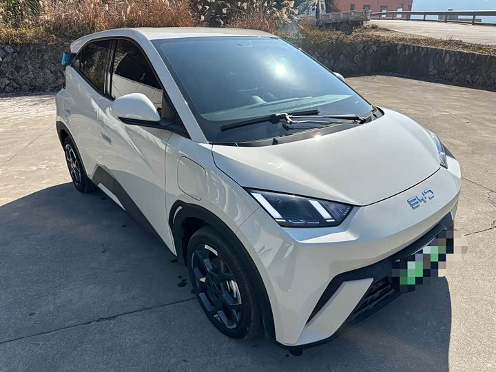 Фото 3 - BYD Seagull