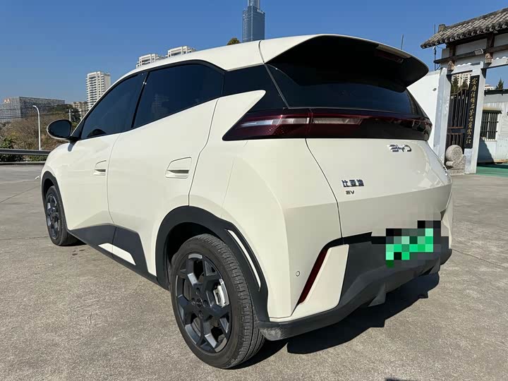 Фото 4 - BYD Seagull