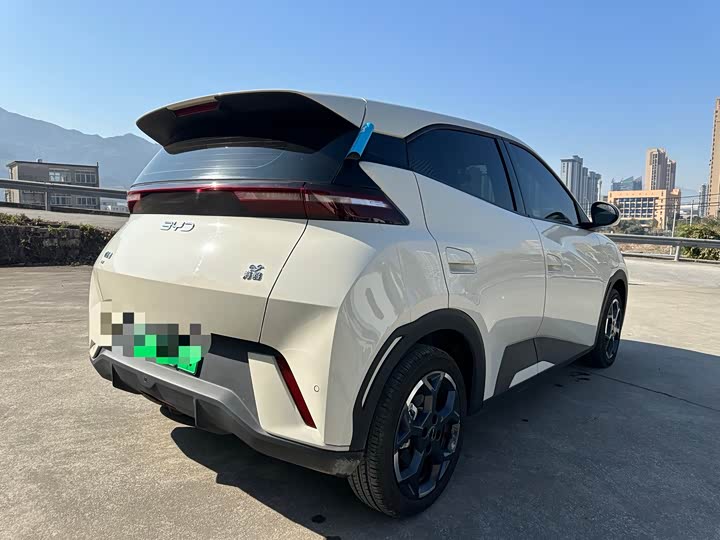 Фото 6 - BYD Seagull