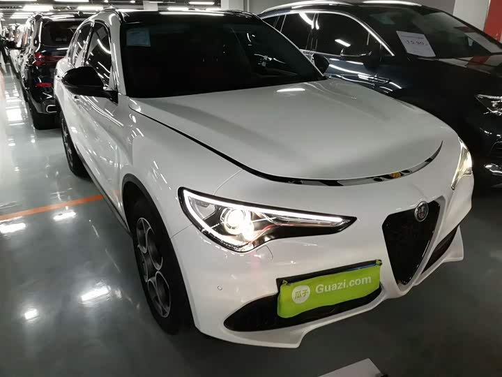 Фото 4 - Alfa Romeo Stelvio