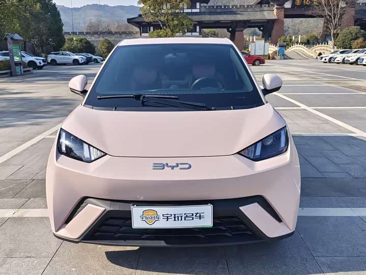 Фото 1 - BYD Seagull