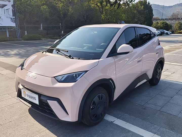 Фото 2 - BYD Seagull