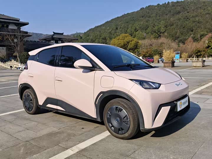 Фото 3 - BYD Seagull